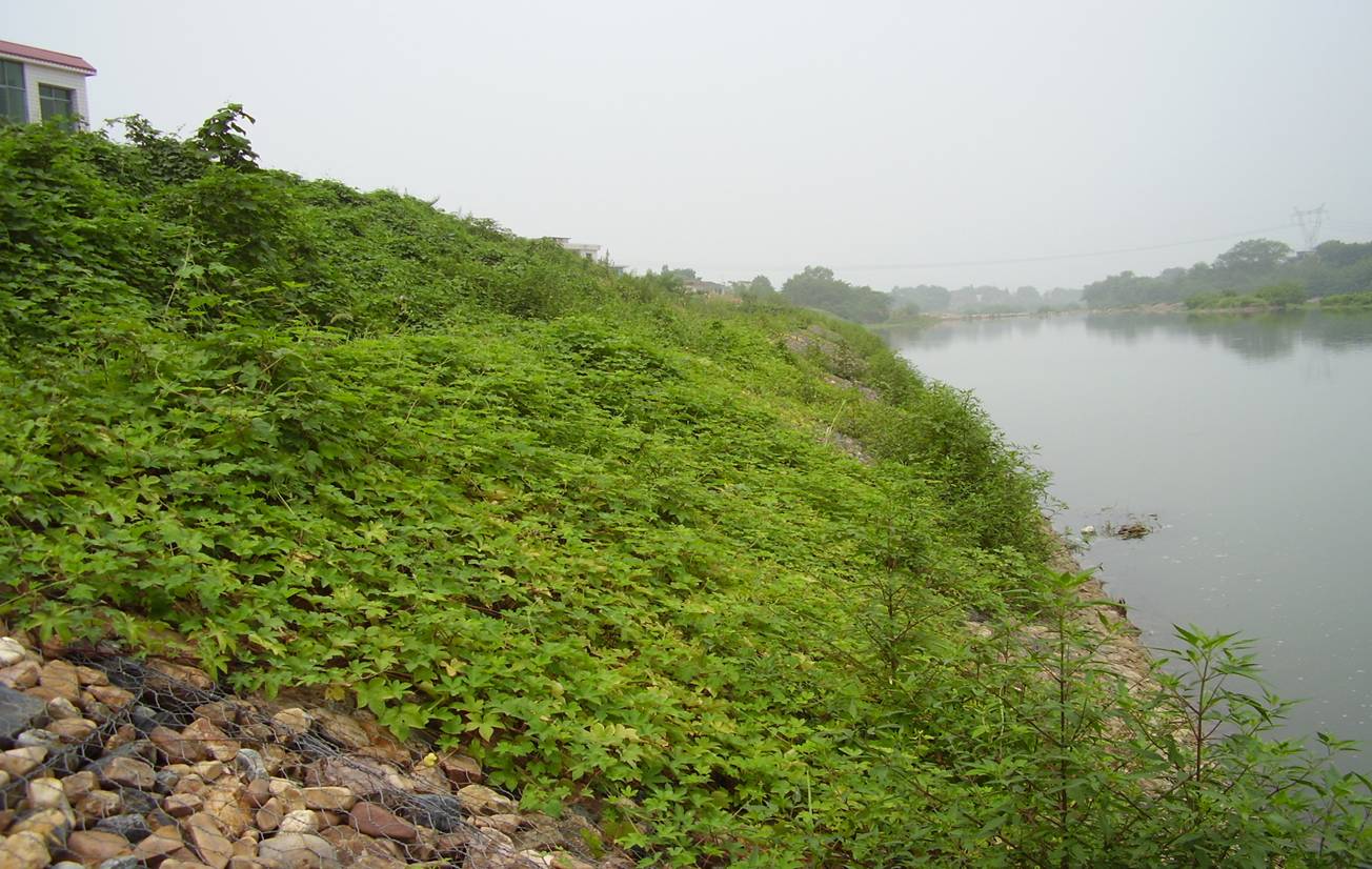 石籠網防護工程抗沖擊性的優勢特點